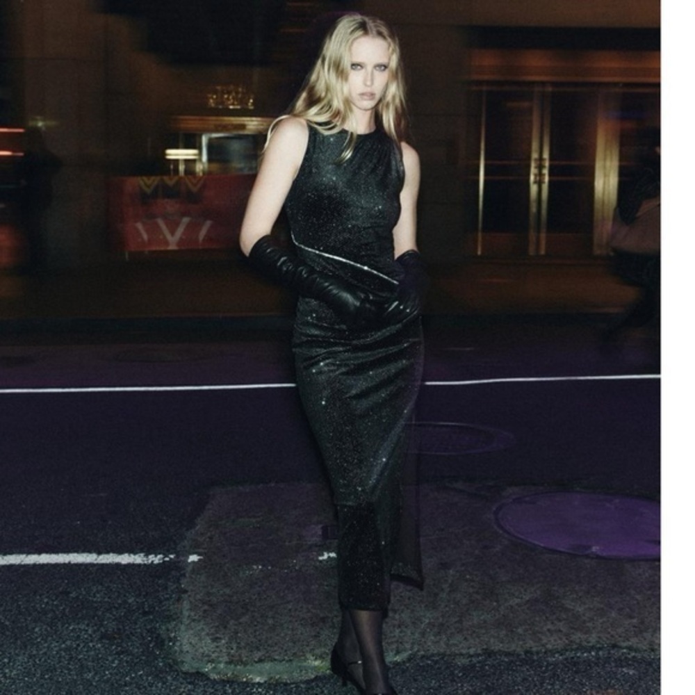 Zara NWT sparkly velvet dress black 9645/609
